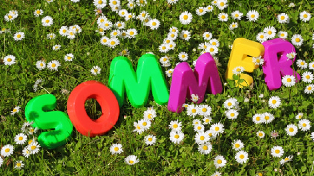 Sommer Schriftzug in Blumenwiese