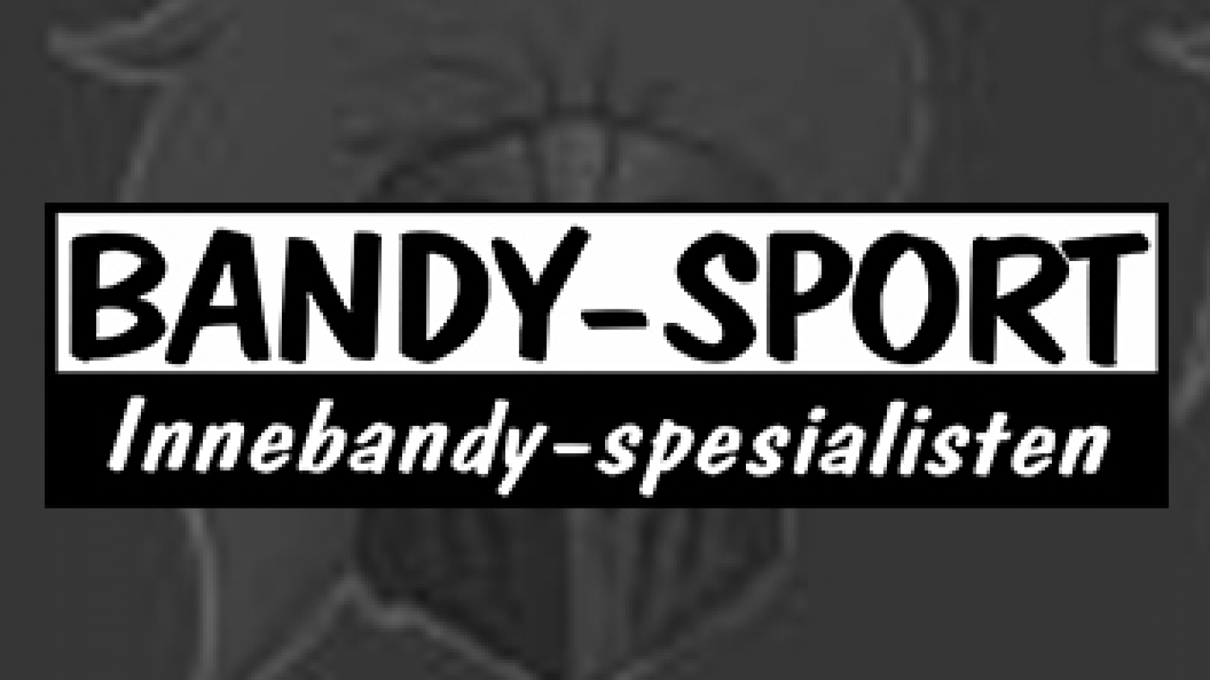 sponsor-slide-BandySport