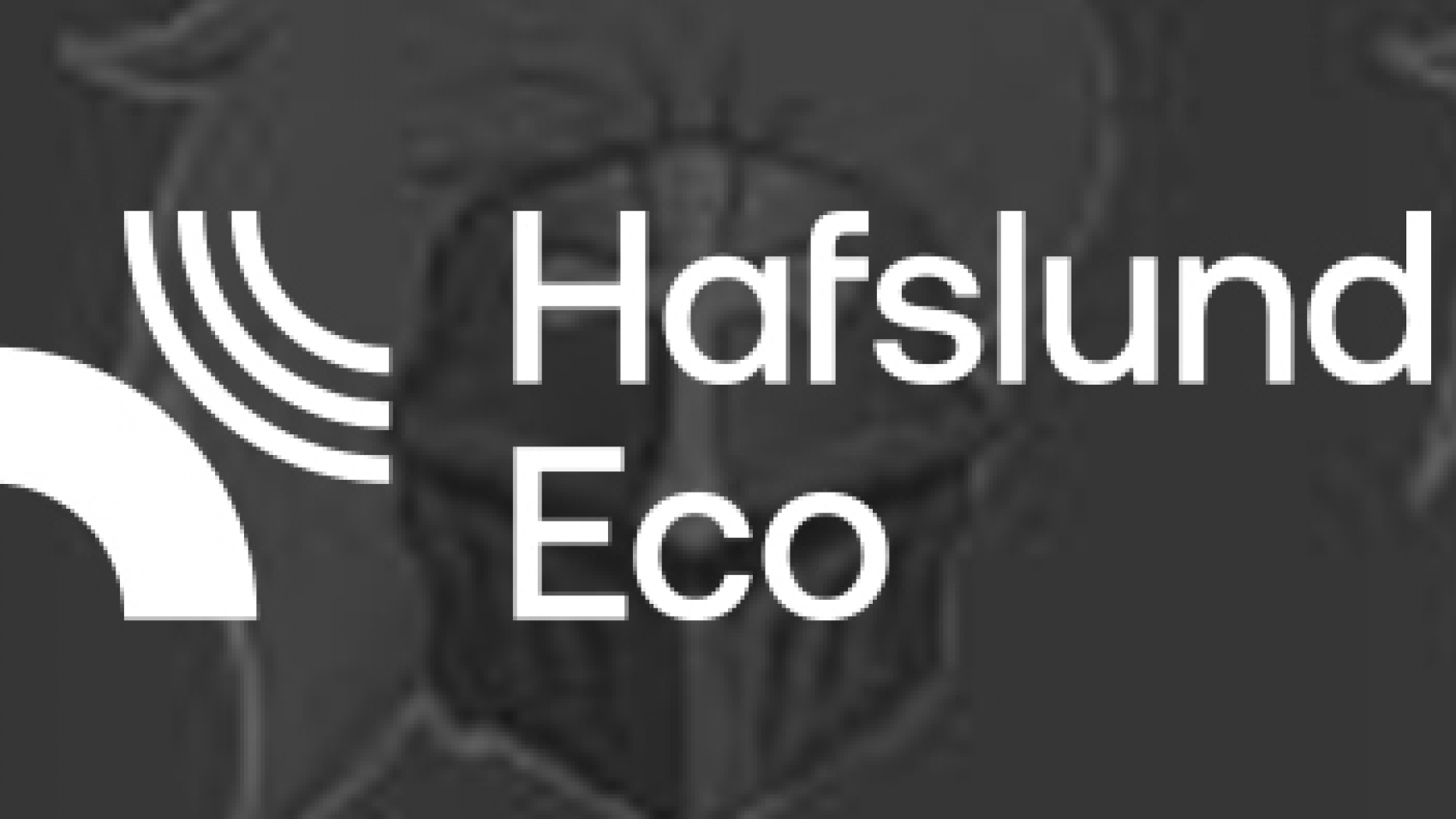 sponsor-slide-Hafslund