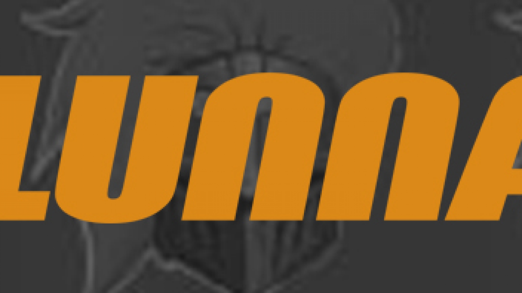 sponsor-slide-Lunna org