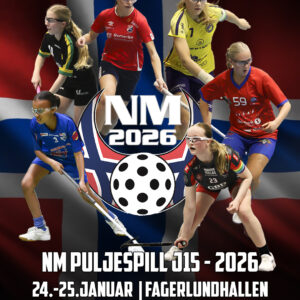 NM PULJESPIL J15