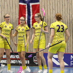 NM PULJESPILL FOR KVINNER I BRUMUNDDAL